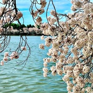 Meet your Posher, Marci